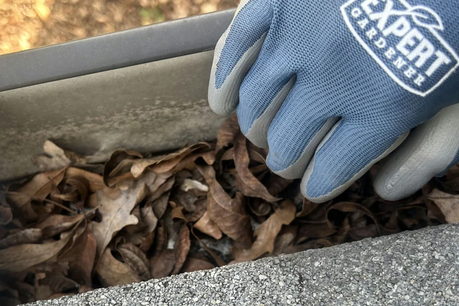 Gutter Cleaning Gateway